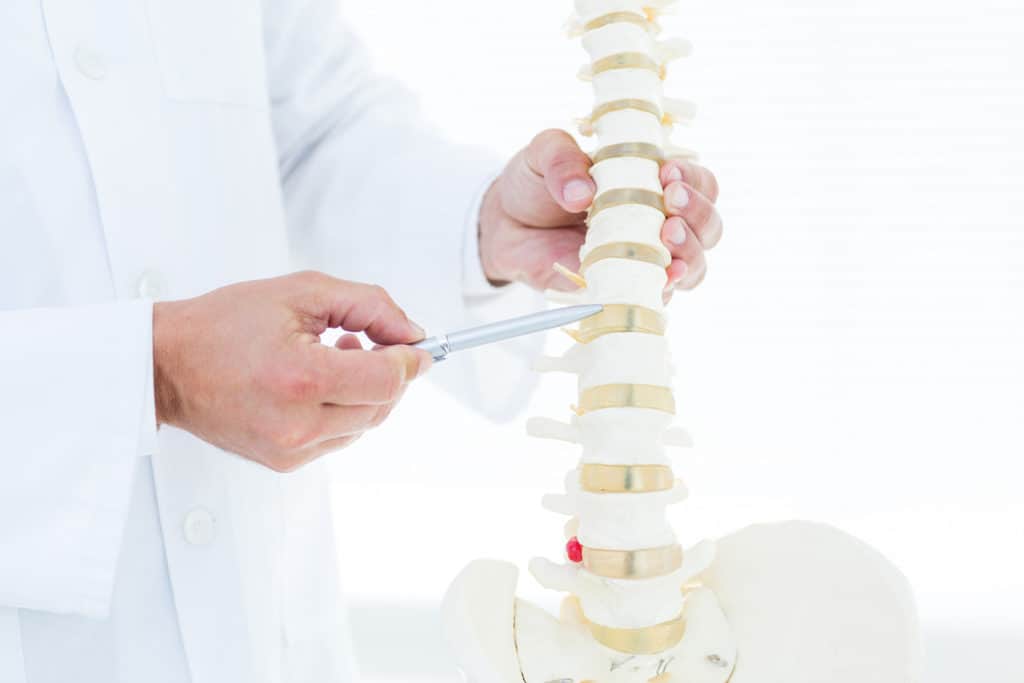 bigstock Doctor showing anatomical spin 88381262 1024x683 - I Have a Herniated Disk, So Does That Mean My Back Will Hurt Forever?