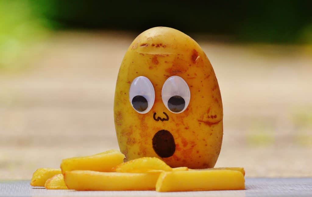 potatoes french mourning funny 162971 1024x649 - Blog